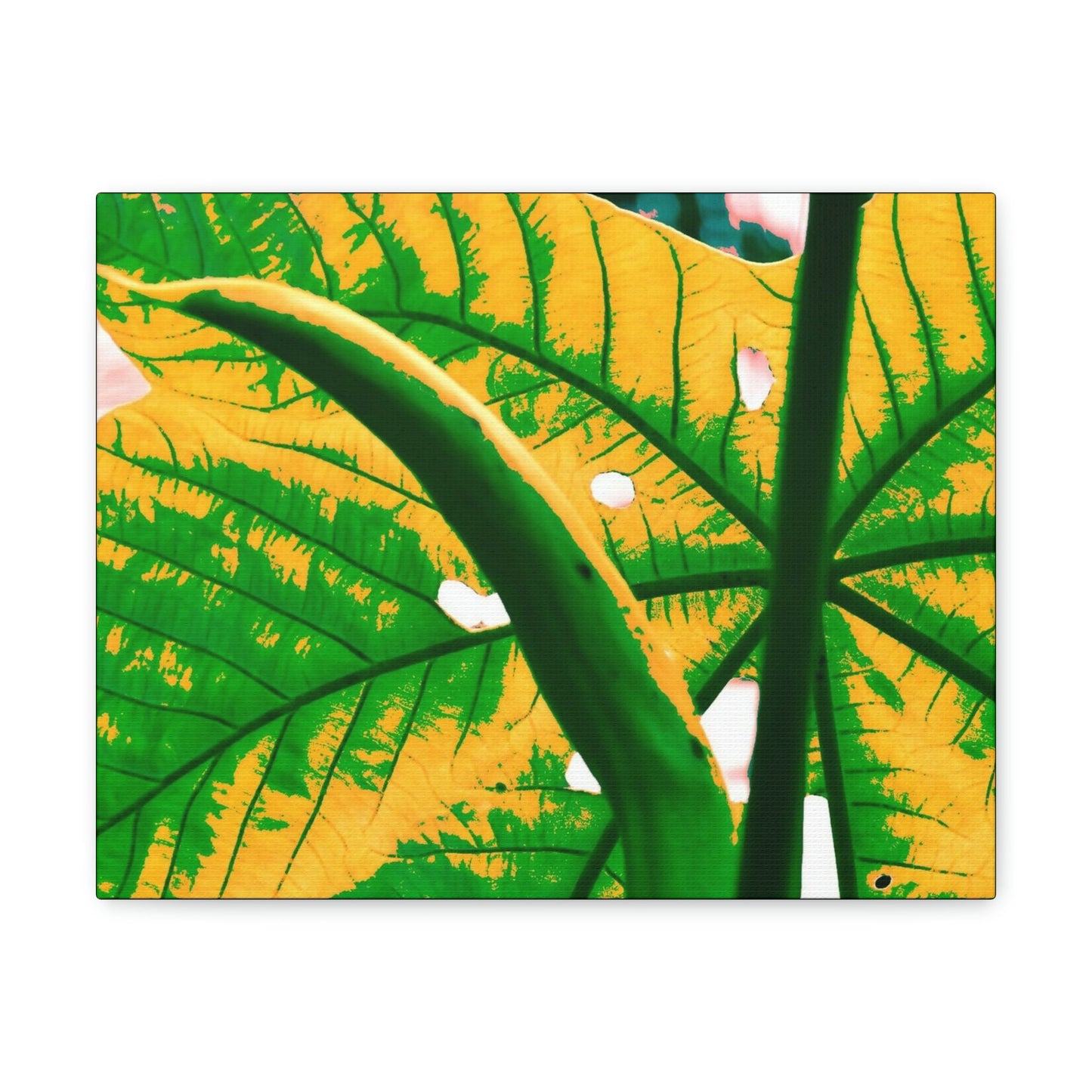 Canvas Gallery Wraps - USA MADE 👨‍👩‍👧‍👧 Unique images of Yagrumo Tree & leafs from El Yunque rainforest PR - Alien 👽 Vision - Green Forest Home