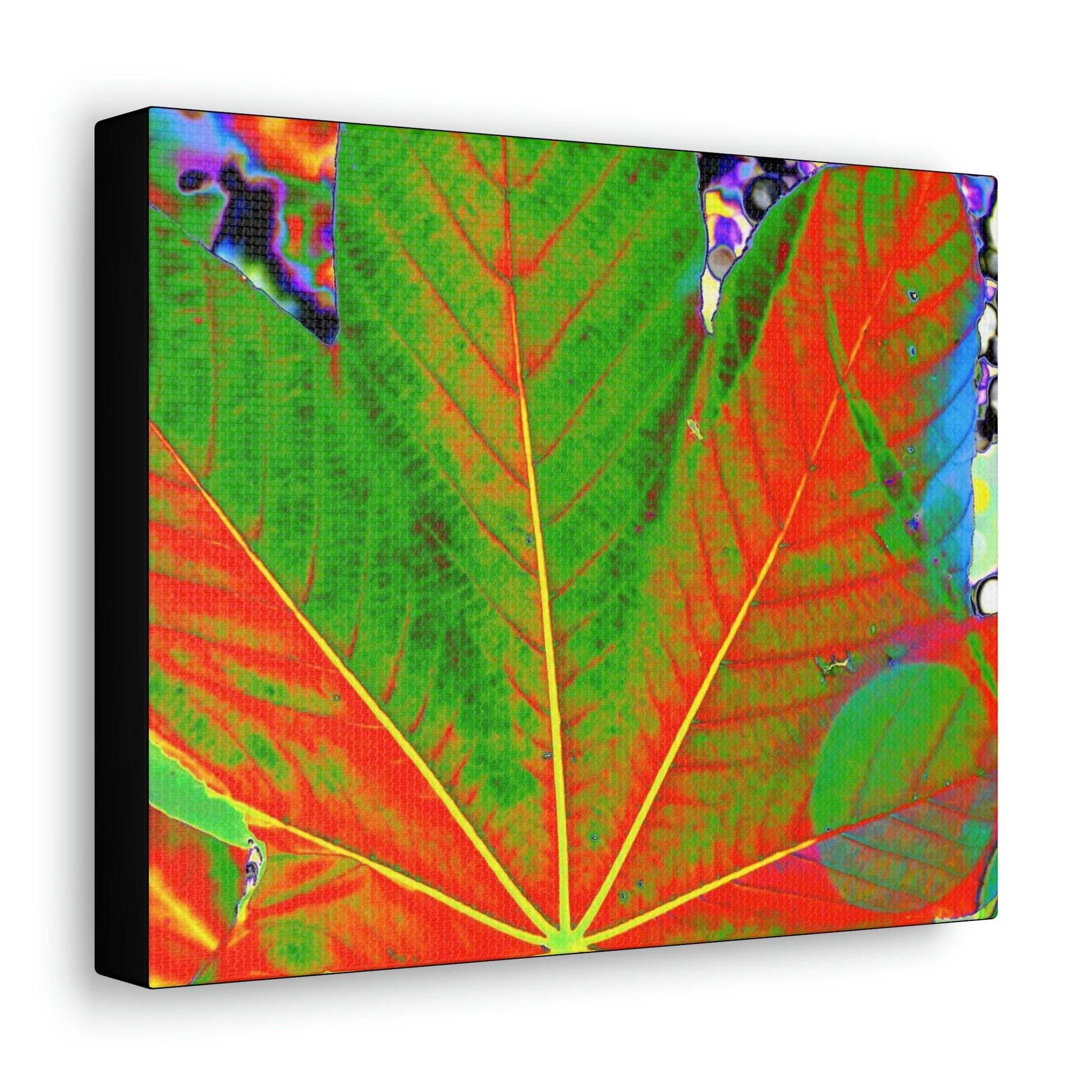 Canvas Gallery Wraps - USA MADE 👨‍👩‍👧‍👧 Unique images of Yagrumo Tree & leafs from El Yunque rainforest PR - Alien 👽 Vision - Green Forest Home