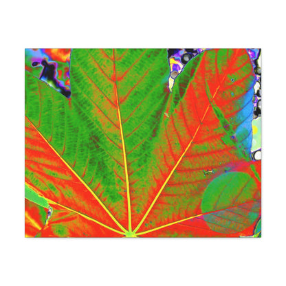 Canvas Gallery Wraps - USA MADE 👨‍👩‍👧‍👧 Unique images of Yagrumo Tree & leafs from El Yunque rainforest PR - Alien 👽 Vision - Green Forest Home