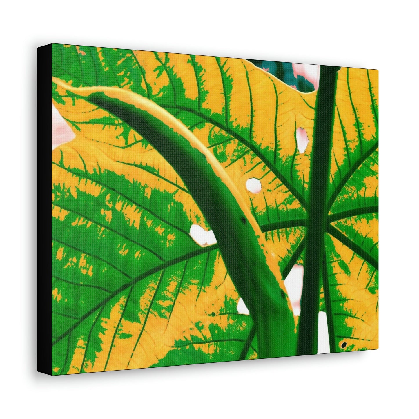 Canvas Gallery Wraps - USA MADE 👨‍👩‍👧‍👧 Unique images of Yagrumo Tree & leafs from El Yunque rainforest PR - Alien 👽 Vision - Green Forest Home