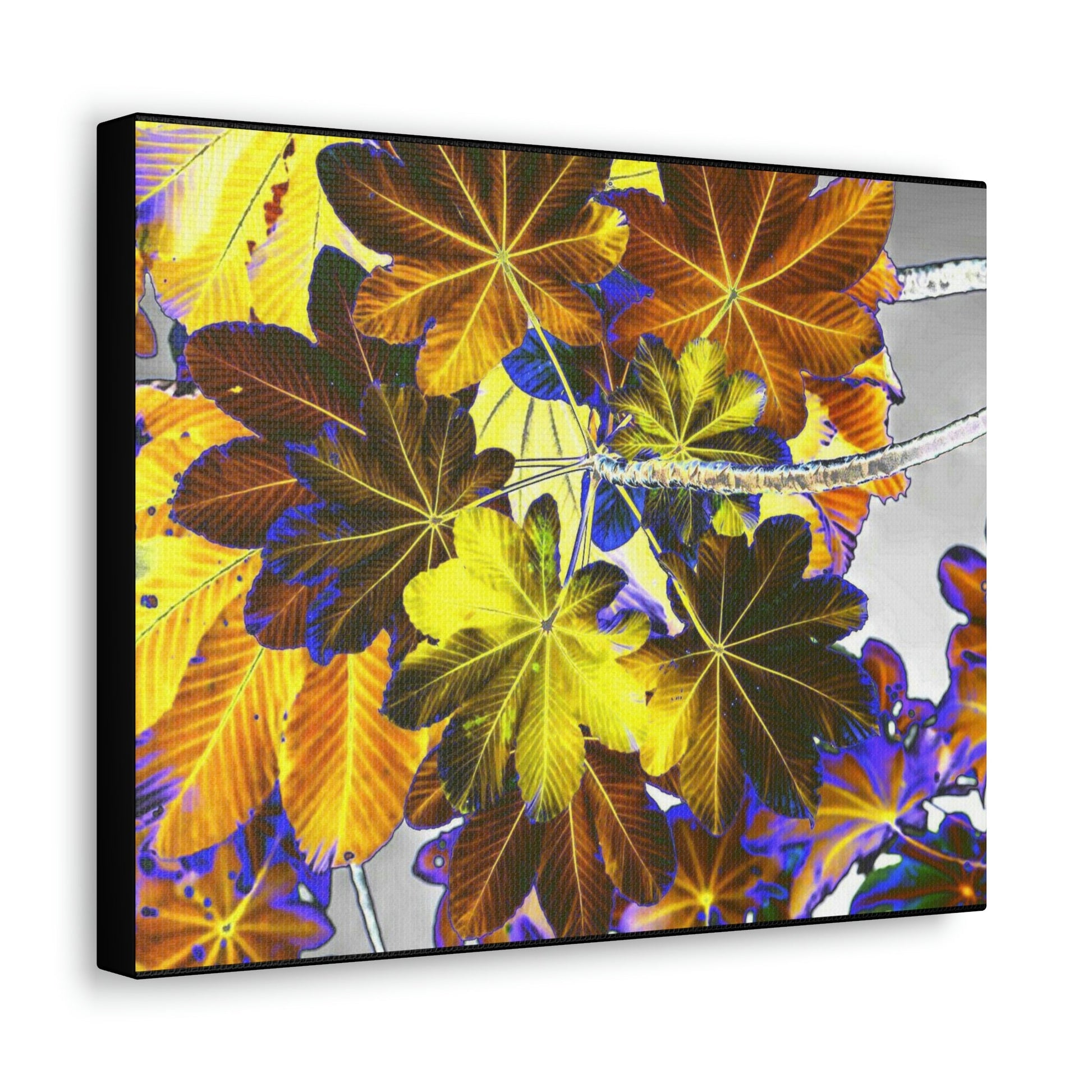 Canvas Gallery Wraps - USA MADE 👨‍👩‍👧‍👧 Unique images of Yagrumo Tree & leafs from El Yunque rainforest PR - Alien 👽 Vision - Green Forest Home