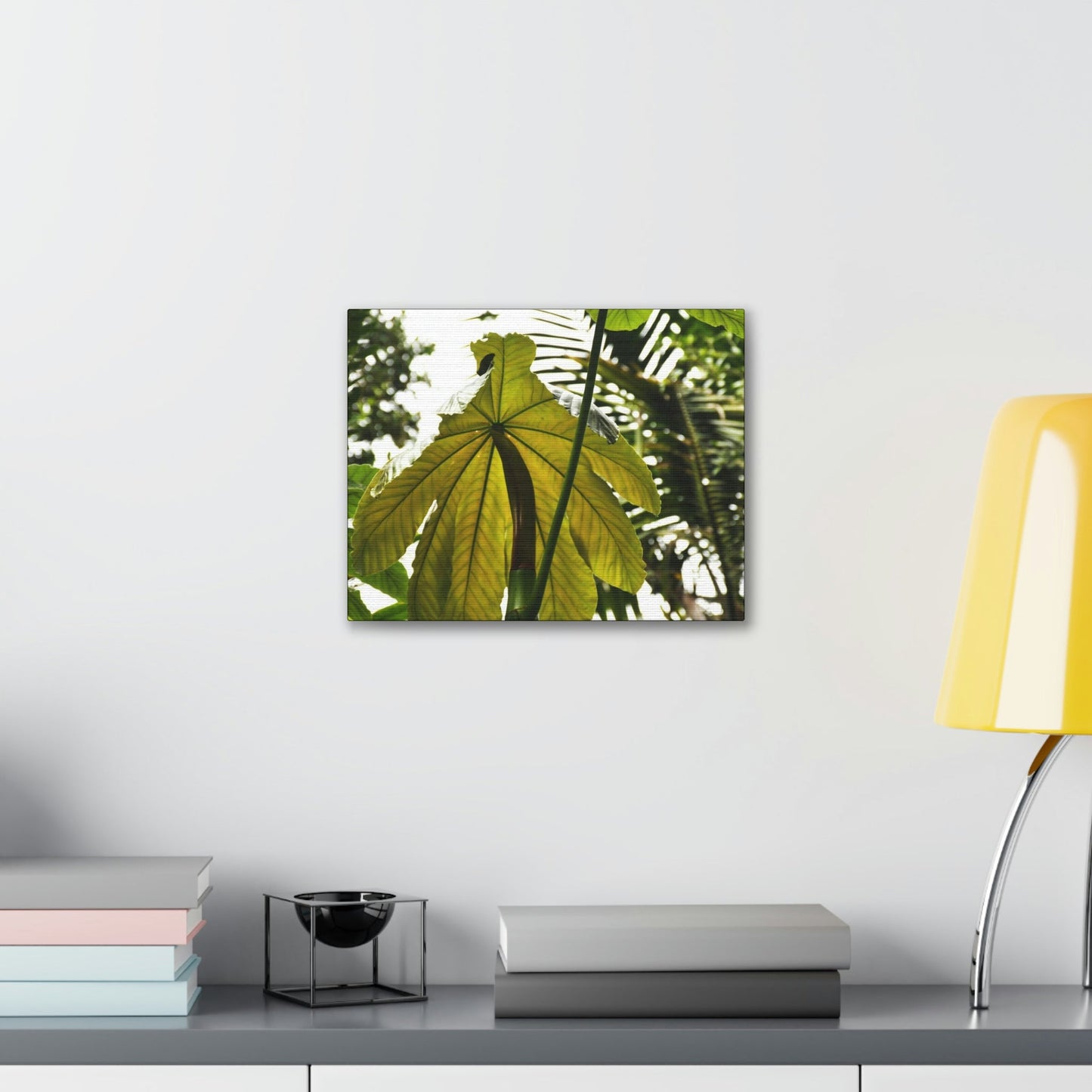 Canvas Gallery Wraps - USA MADE 👨‍👩‍👧‍👧 Unique images of Yagrumo Tree & leafs from El Yunque rainforest PR - Human 👩‍🦰 Vision - Green Forest Home