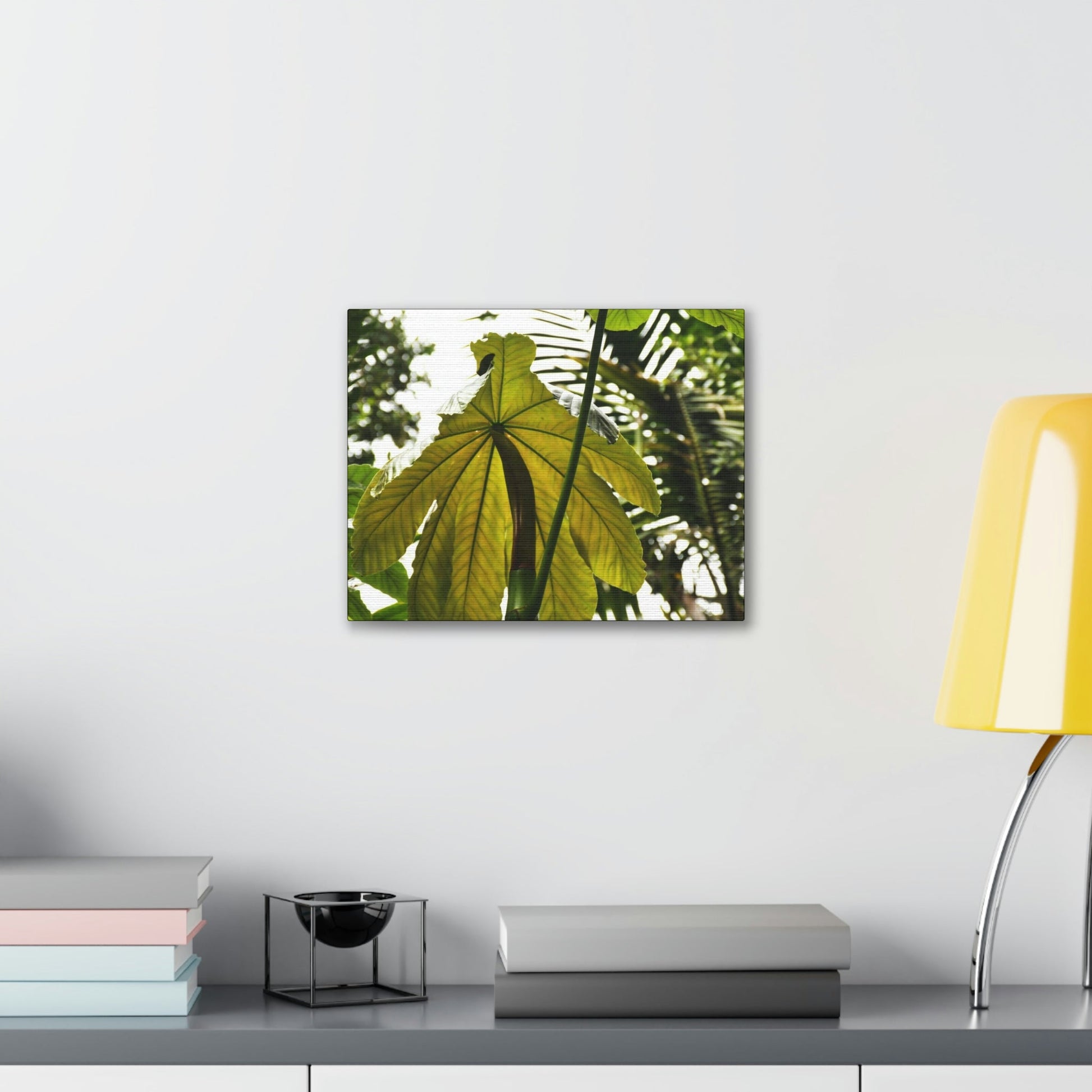 Canvas Gallery Wraps - USA MADE 👨‍👩‍👧‍👧 Unique images of Yagrumo Tree & leafs from El Yunque rainforest PR - Human 👩‍🦰 Vision - Green Forest Home