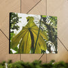Canvas Gallery Wraps - USA MADE 👨‍👩‍👧‍👧 Unique images of Yagrumo Tree & leafs from El Yunque rainforest PR - Human 👩‍🦰 Vision - Green Forest Home