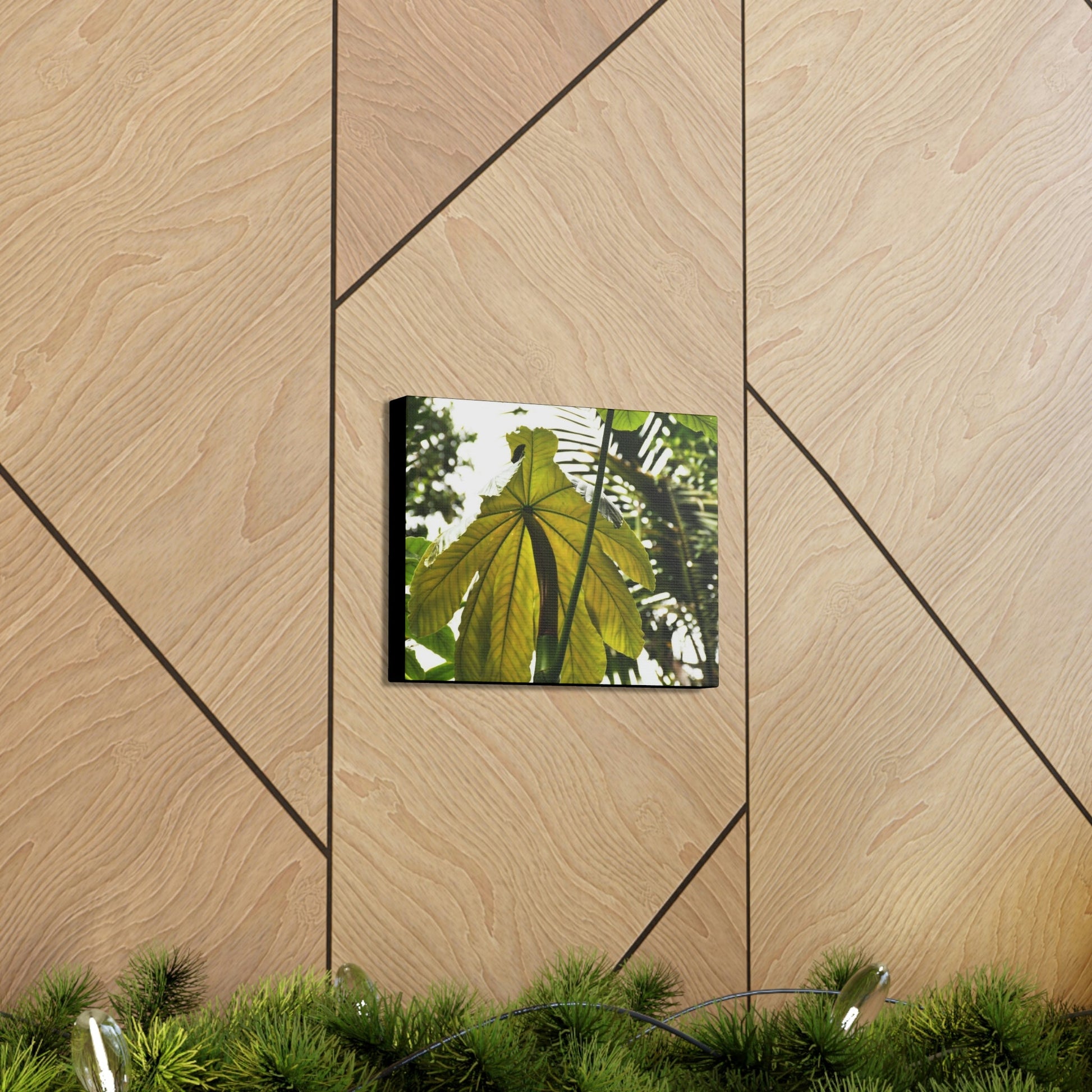 Canvas Gallery Wraps - USA MADE 👨‍👩‍👧‍👧 Unique images of Yagrumo Tree & leafs from El Yunque rainforest PR - Human 👩‍🦰 Vision - Green Forest Home