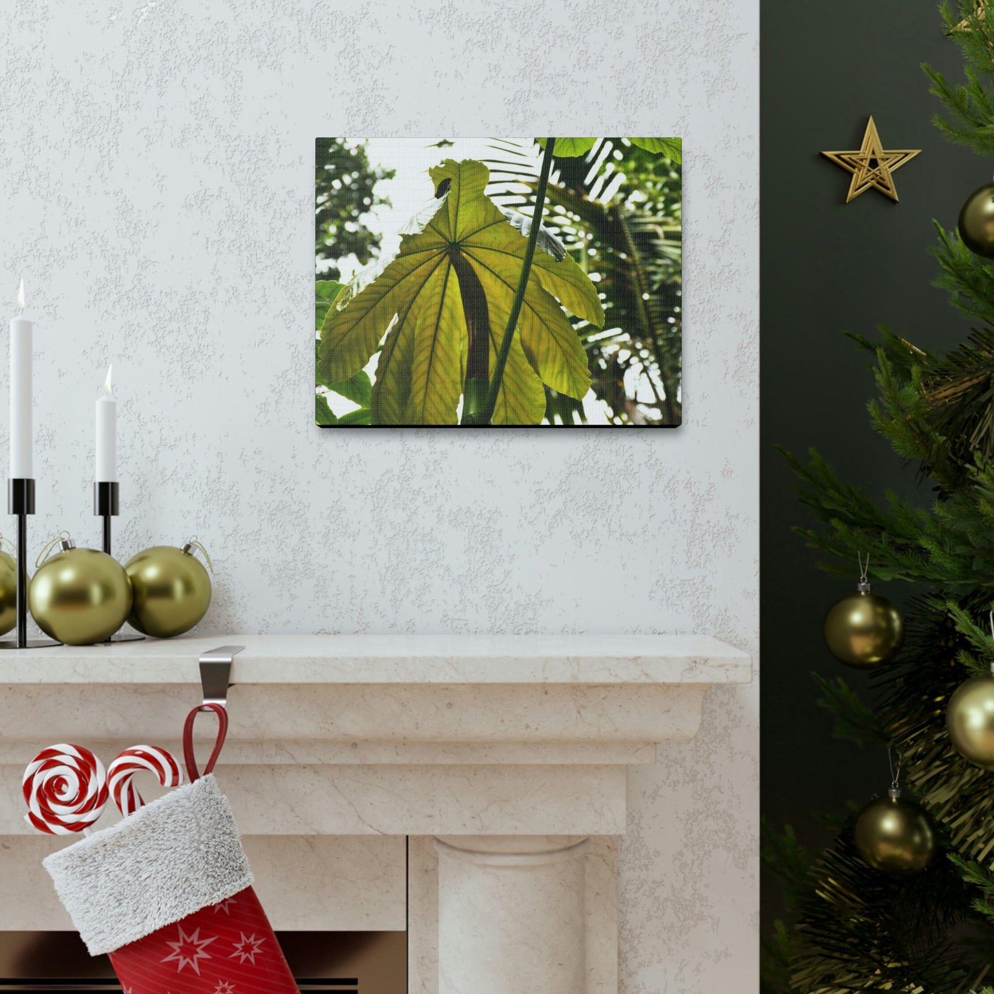 Canvas Gallery Wraps - USA MADE 👨‍👩‍👧‍👧 Unique images of Yagrumo Tree & leafs from El Yunque rainforest PR - Human 👩‍🦰 Vision - Green Forest Home