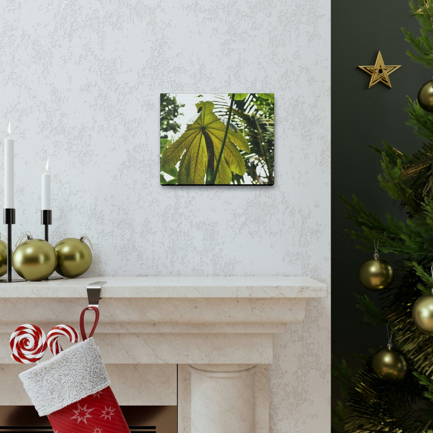 Canvas Gallery Wraps - USA MADE 👨‍👩‍👧‍👧 Unique images of Yagrumo Tree & leafs from El Yunque rainforest PR - Human 👩‍🦰 Vision - Green Forest Home