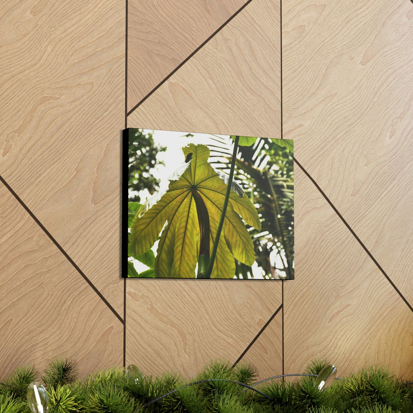 Canvas Gallery Wraps - USA MADE 👨‍👩‍👧‍👧 Unique images of Yagrumo Tree & leafs from El Yunque rainforest PR - Human 👩‍🦰 Vision - Green Forest Home