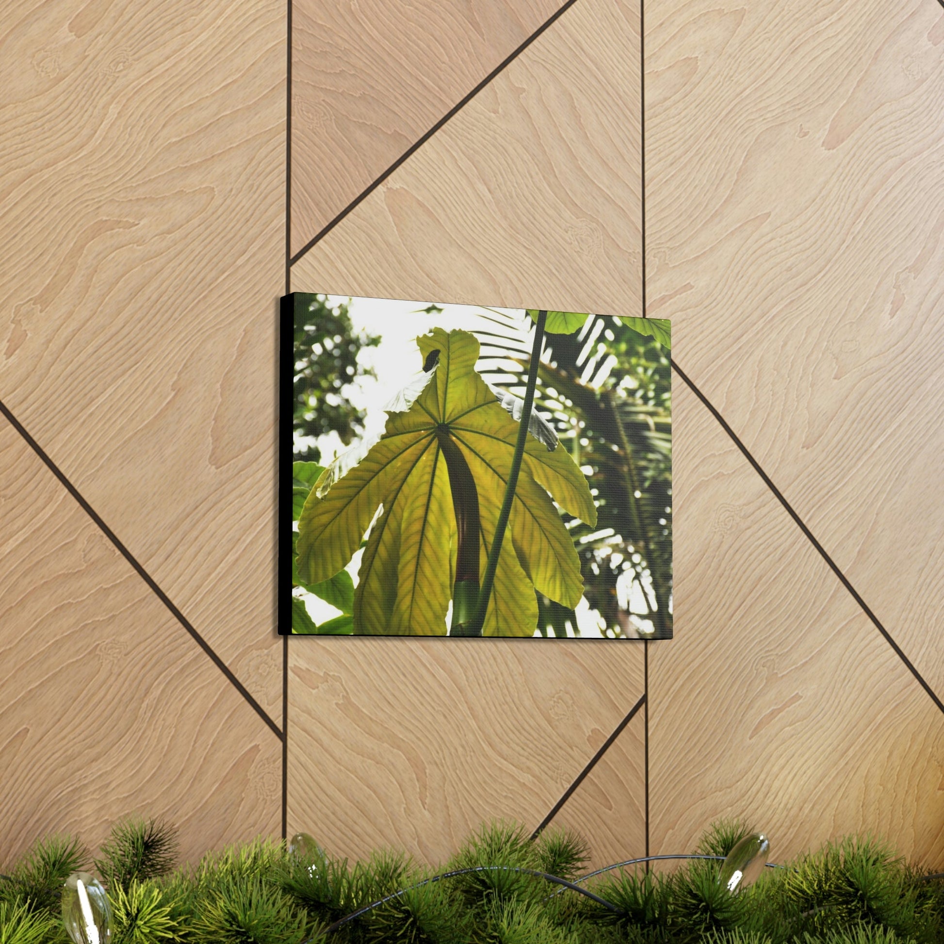 Canvas Gallery Wraps - USA MADE 👨‍👩‍👧‍👧 Unique images of Yagrumo Tree & leafs from El Yunque rainforest PR - Human 👩‍🦰 Vision - Green Forest Home
