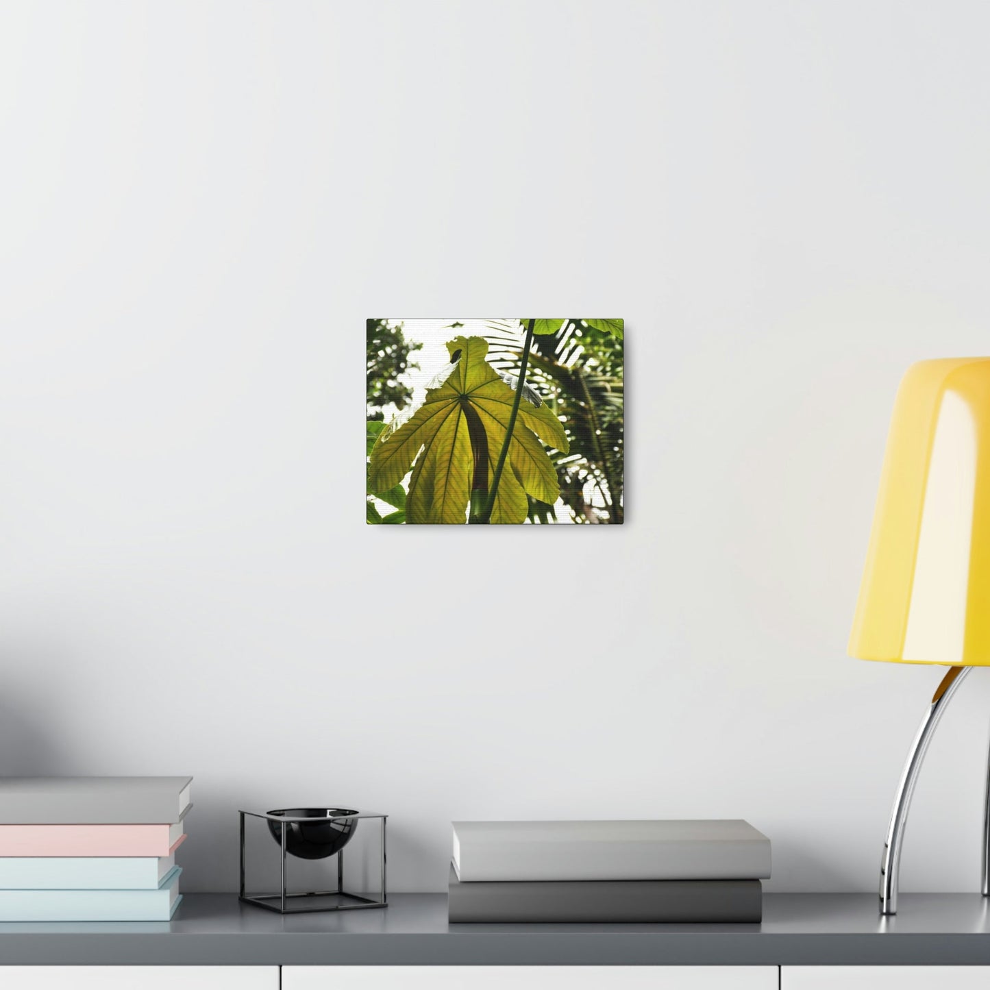 Canvas Gallery Wraps - USA MADE 👨‍👩‍👧‍👧 Unique images of Yagrumo Tree & leafs from El Yunque rainforest PR - Human 👩‍🦰 Vision - Green Forest Home