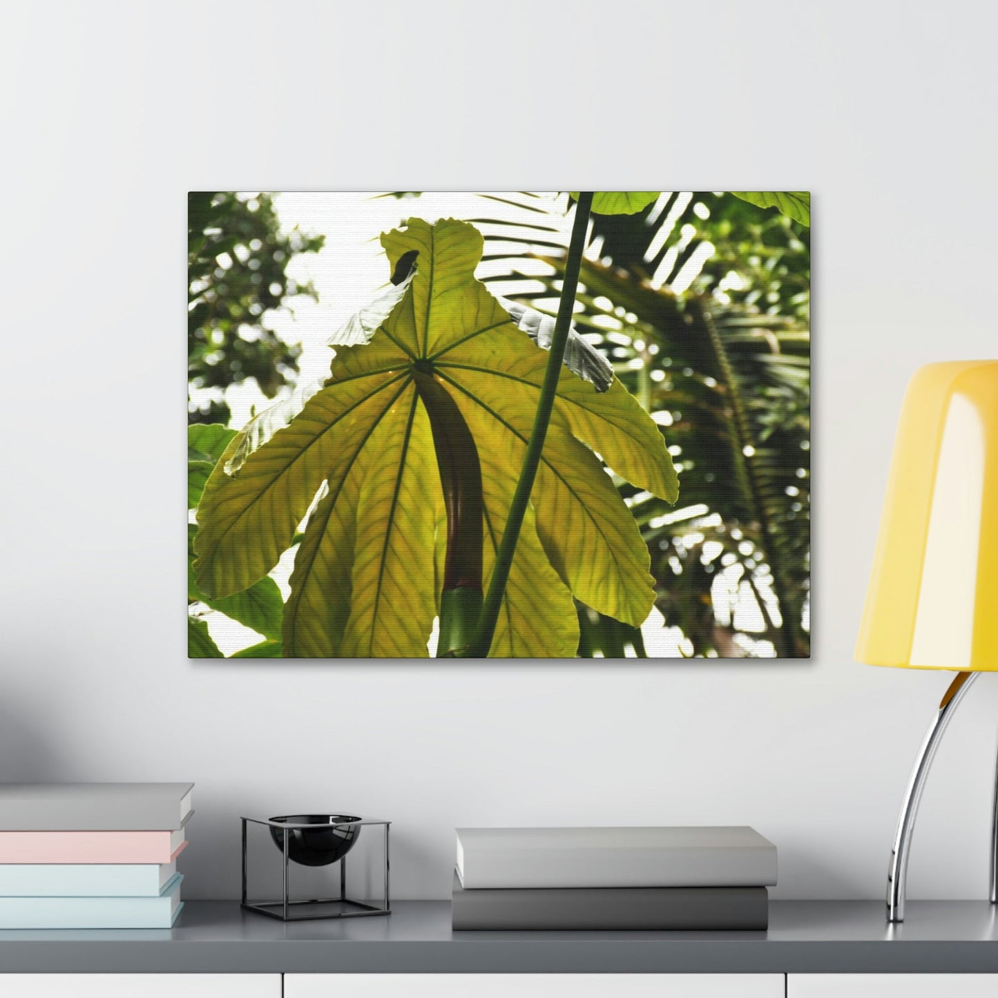 Canvas Gallery Wraps - USA MADE 👨‍👩‍👧‍👧 Unique images of Yagrumo Tree & leafs from El Yunque rainforest PR - Human 👩‍🦰 Vision - Green Forest Home
