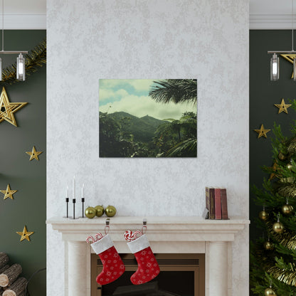 Canvas Gallery Wraps - View of East peak from lost park PR 191 road - entrance of Tradewinds trail before Maria - 2013 - Green Forest Home