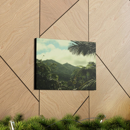 Canvas Gallery Wraps - View of East peak from lost park PR 191 road - entrance of Tradewinds trail before Maria - 2013 - Green Forest Home