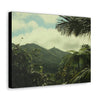 Canvas Gallery Wraps - View of East peak from lost park PR 191 road - entrance of Tradewinds trail before Maria - 2013 - Green Forest Home