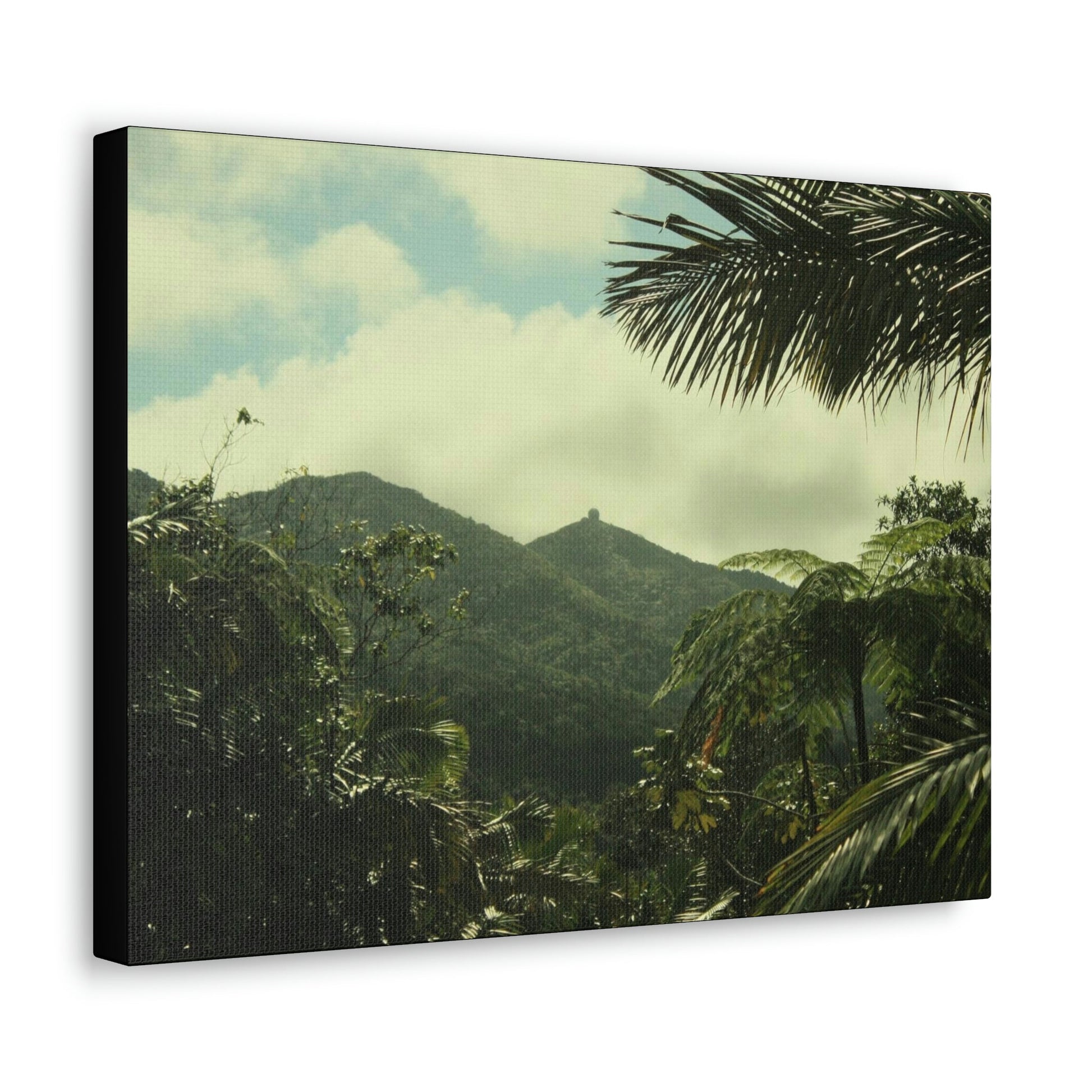 Canvas Gallery Wraps - View of East peak from lost park PR 191 road - entrance of Tradewinds trail before Maria - 2013 - Green Forest Home