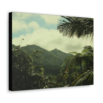 Canvas Gallery Wraps - View of East peak from lost park PR 191 road - entrance of Tradewinds trail before Maria - 2013 - Green Forest Home