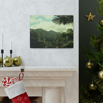 Canvas Gallery Wraps - View of East peak from lost park PR 191 road - entrance of Tradewinds trail before Maria - 2013 - Green Forest Home