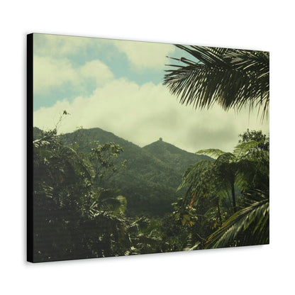 Canvas Gallery Wraps - View of East peak from lost park PR 191 road - entrance of Tradewinds trail before Maria - 2013 - Green Forest Home