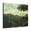 Canvas Gallery Wraps - View of East peak from lost park PR 191 road - entrance of Tradewinds trail before Maria - 2013 - Green Forest Home