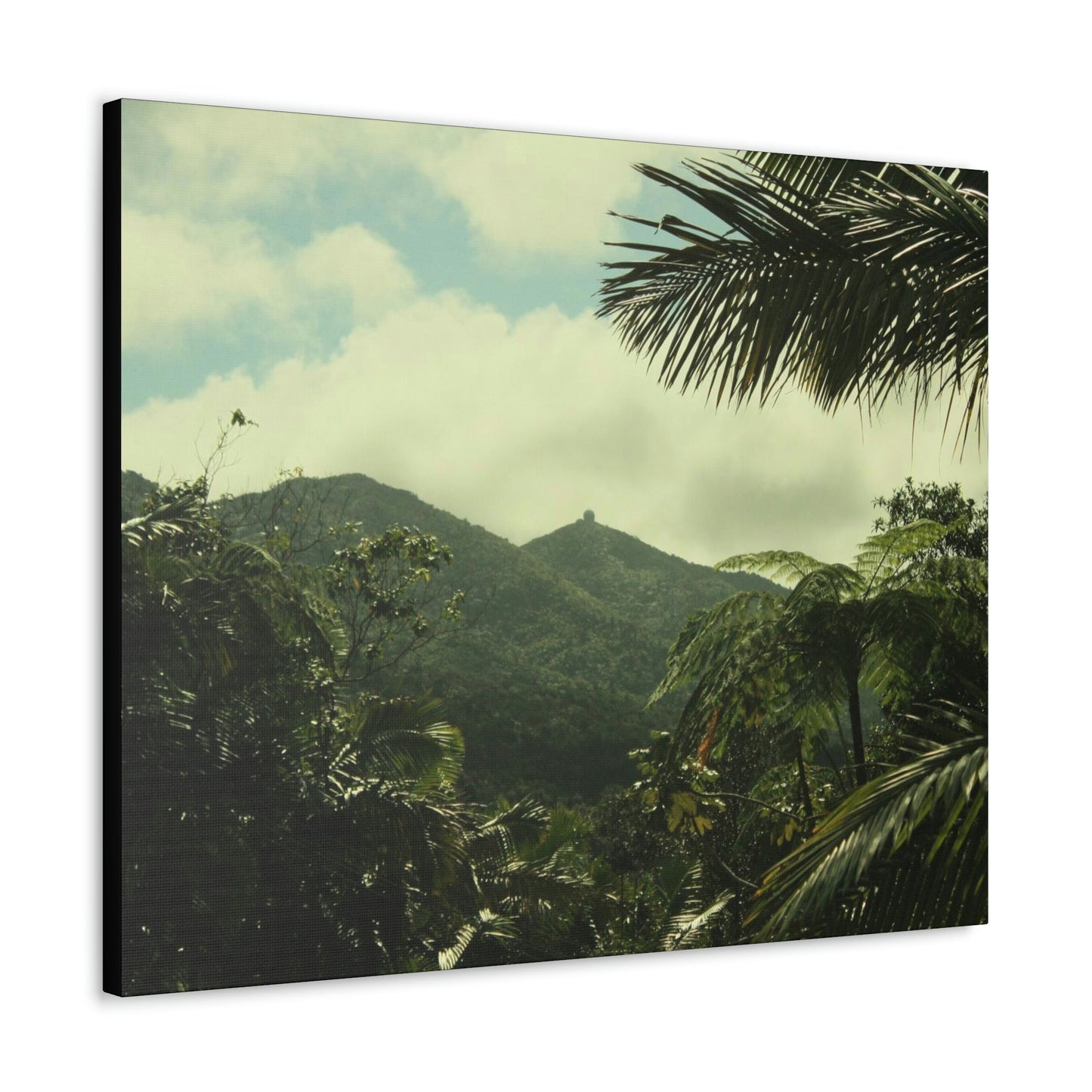 Canvas Gallery Wraps - View of East peak from lost park PR 191 road - entrance of Tradewinds trail before Maria - 2013 - Green Forest Home