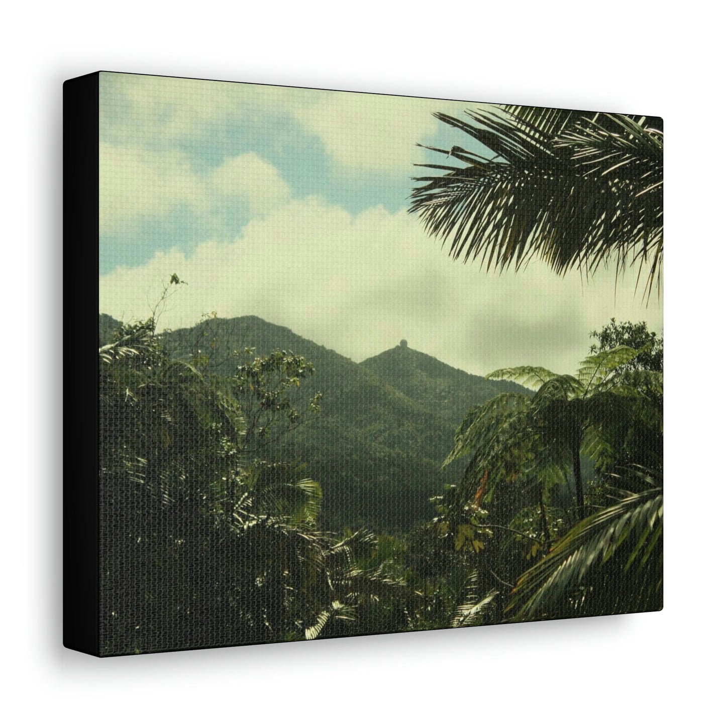 Canvas Gallery Wraps - View of East peak from lost park PR 191 road - entrance of Tradewinds trail before Maria - 2013 - Green Forest Home
