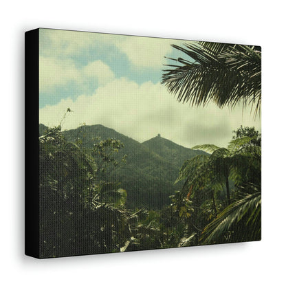 Canvas Gallery Wraps - View of East peak from lost park PR 191 road - entrance of Tradewinds trail before Maria - 2013 - Green Forest Home