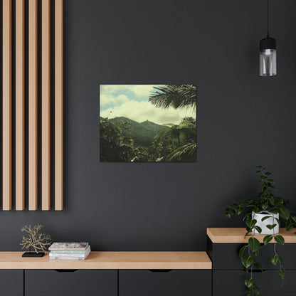 Canvas Gallery Wraps - View of East peak from lost park PR 191 road - entrance of Tradewinds trail before Maria - 2013 - Green Forest Home