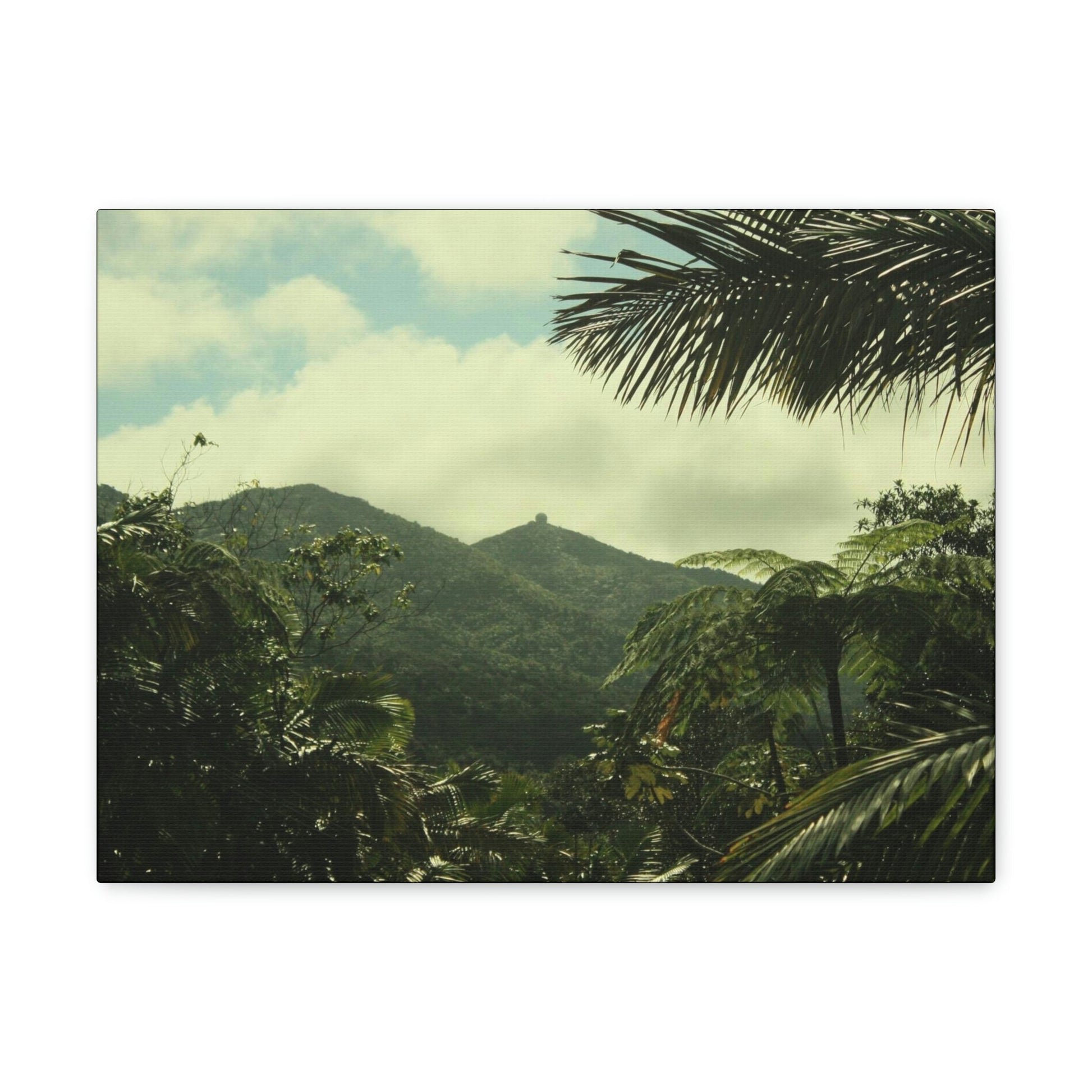 Canvas Gallery Wraps - View of East peak from lost park PR 191 road - entrance of Tradewinds trail before Maria - 2013 - Green Forest Home
