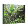 Canvas Stretched - Forest@Home - El Yunque - A common sight after storms - chaotic streams in formation and decaying trees - Tradewinds - Green Forest Home
