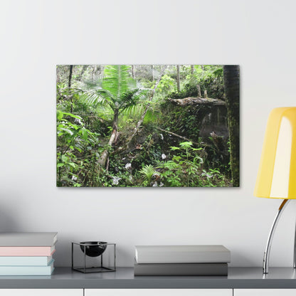 Canvas Stretched - Forest@Home - El Yunque - A common sight after storms - chaotic streams in formation and decaying trees - Tradewinds - Green Forest Home