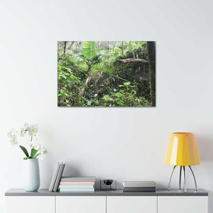 Canvas Stretched - Forest@Home - El Yunque - A common sight after storms - chaotic streams in formation and decaying trees - Tradewinds - Green Forest Home