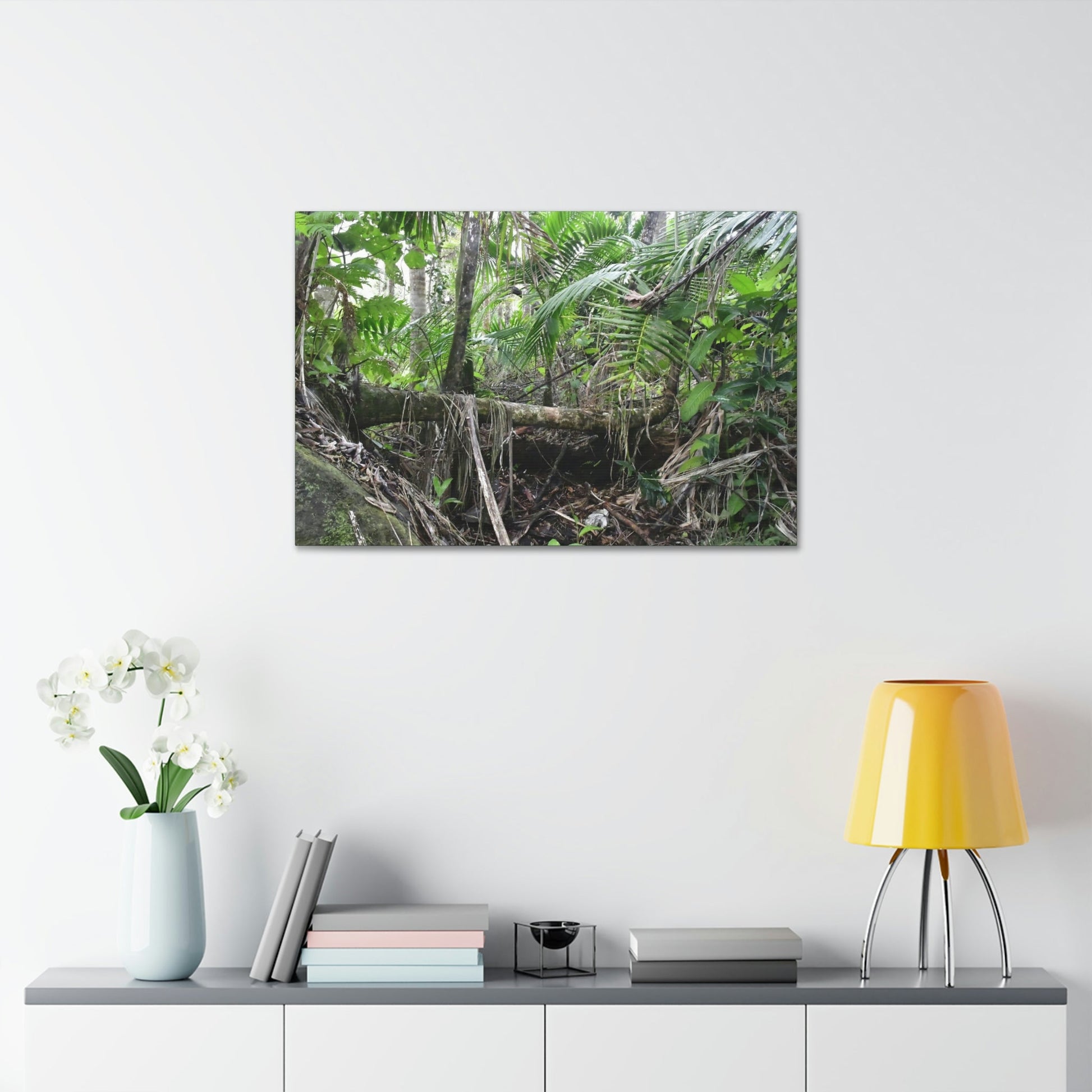 Canvas Stretched - Forest@Home - El Yunque - A common sight after storms - fallen Sierra Palms on boulder in Tradewinds Trail - Green Forest Home