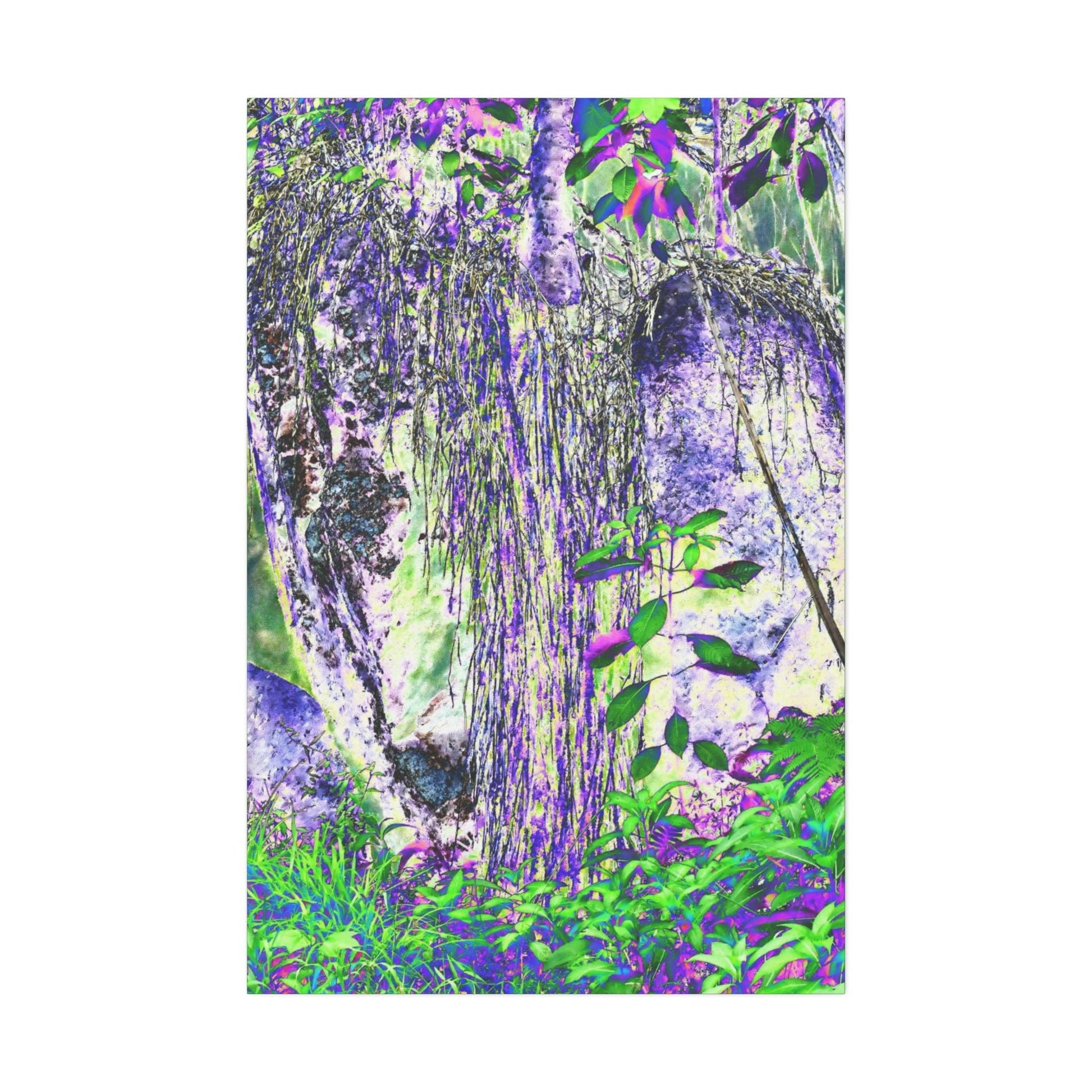 Canvas Stretched - Forest@Home - El Yunque - Amazing Sierra Palm grows in boulder with long roots comming down - Tradewinds - Green Forest Home