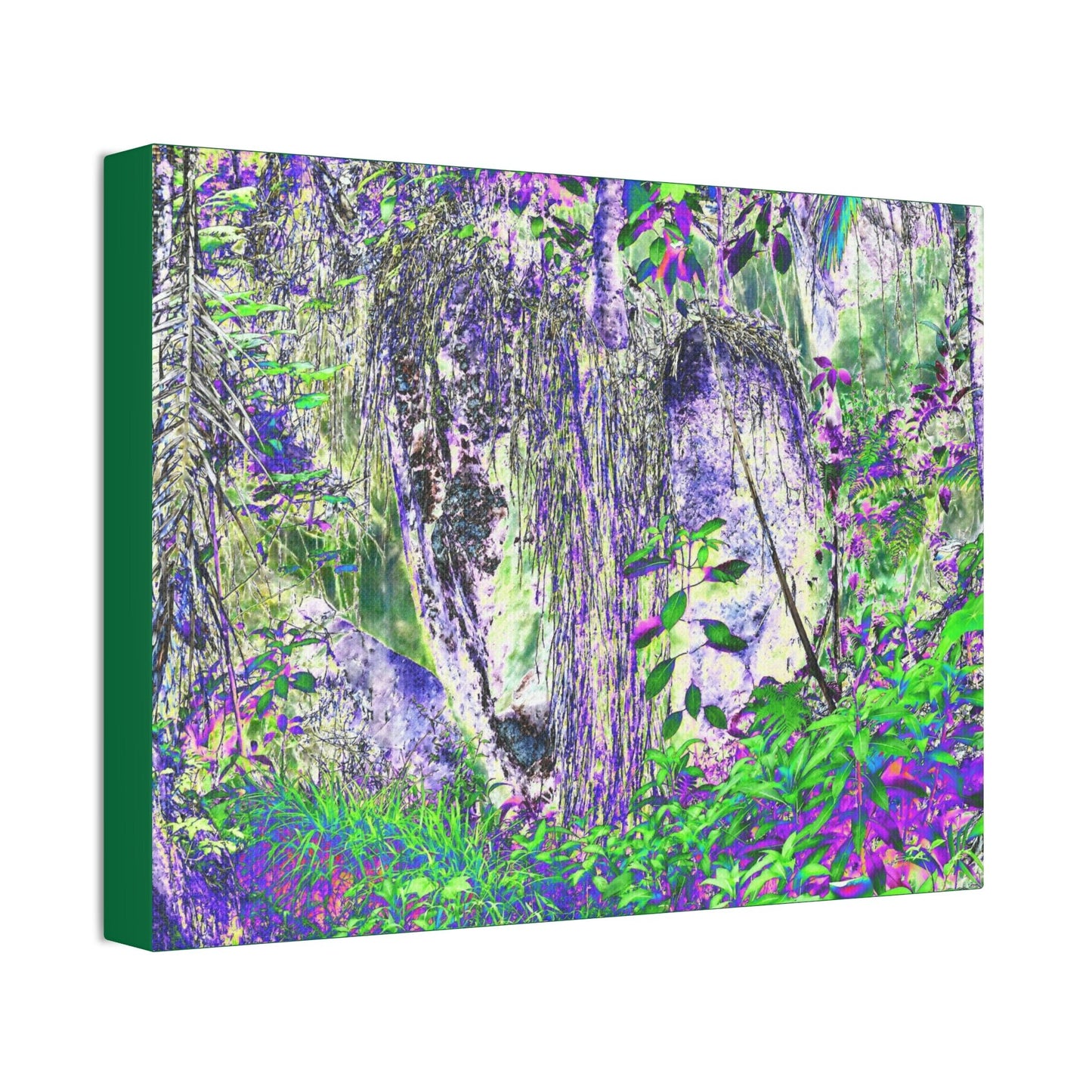 Canvas Stretched - Forest@Home - El Yunque - Amazing Sierra Palm grows in boulder with long roots comming down - Tradewinds - Green Forest Home