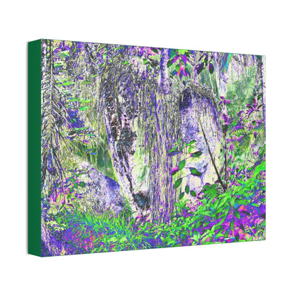 Canvas Stretched - Forest@Home - El Yunque - Amazing Sierra Palm grows in boulder with long roots comming down - Tradewinds - Green Forest Home