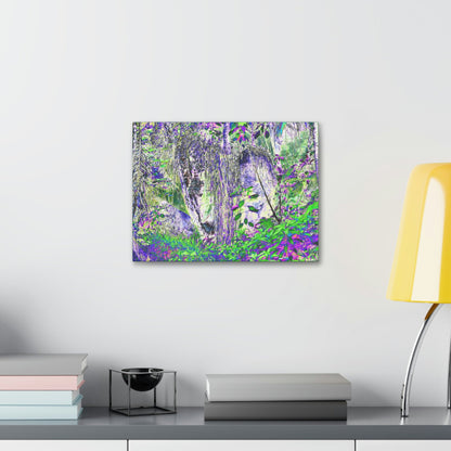 Canvas Stretched - Forest@Home - El Yunque - Amazing Sierra Palm grows in boulder with long roots comming down - Tradewinds - Green Forest Home
