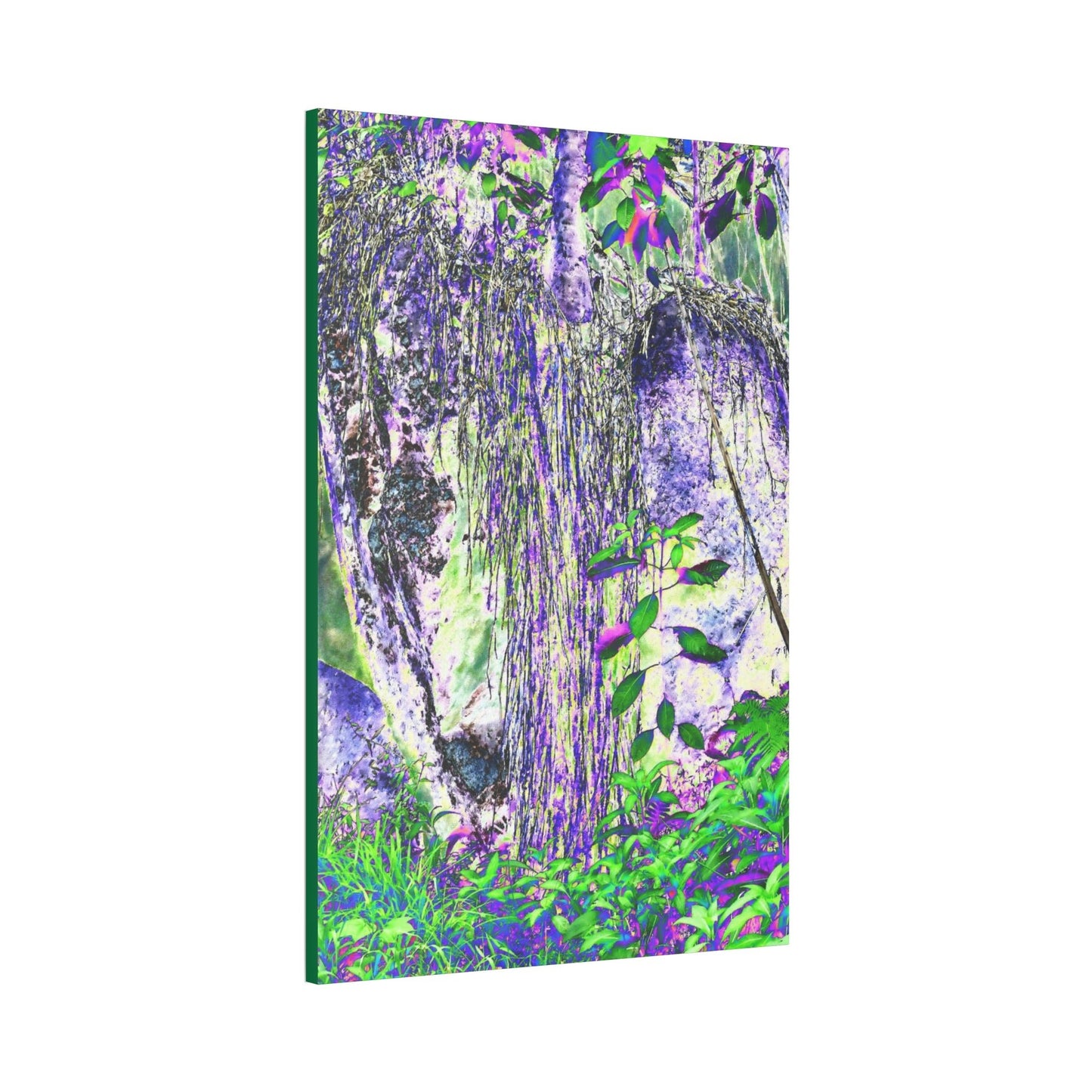 Canvas Stretched - Forest@Home - El Yunque - Amazing Sierra Palm grows in boulder with long roots comming down - Tradewinds - Green Forest Home