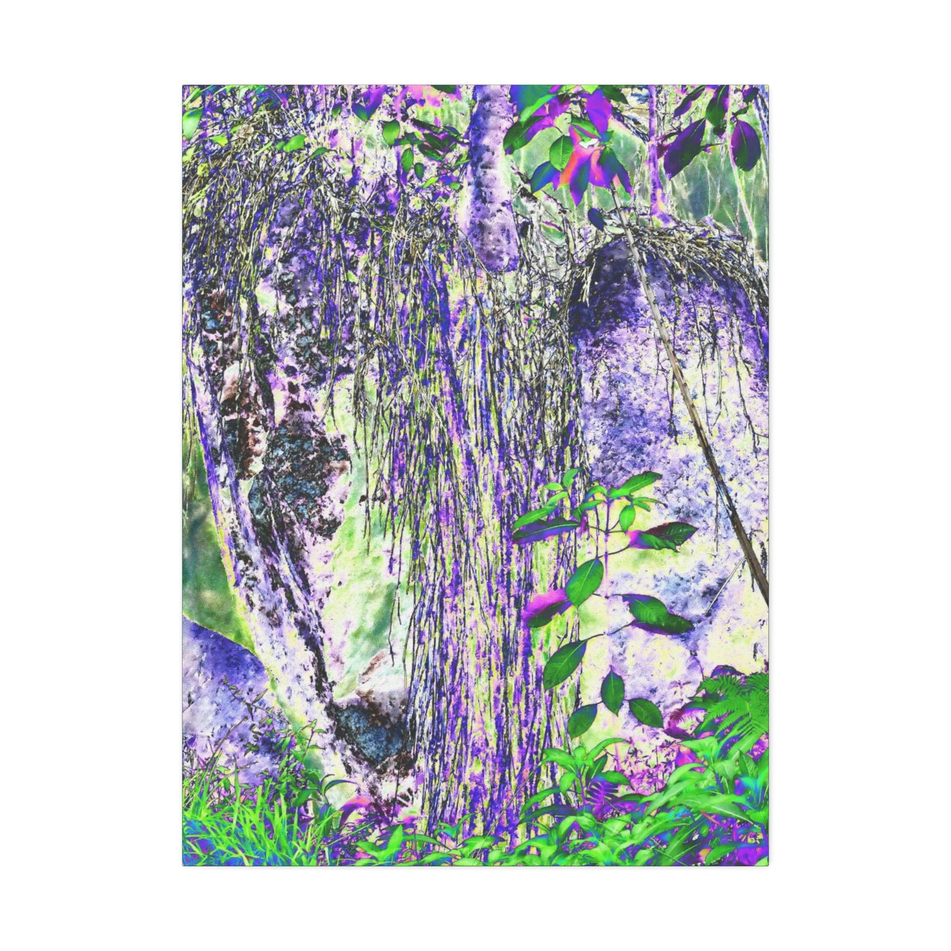 Canvas Stretched - Forest@Home - El Yunque - Amazing Sierra Palm grows in boulder with long roots comming down - Tradewinds - Green Forest Home