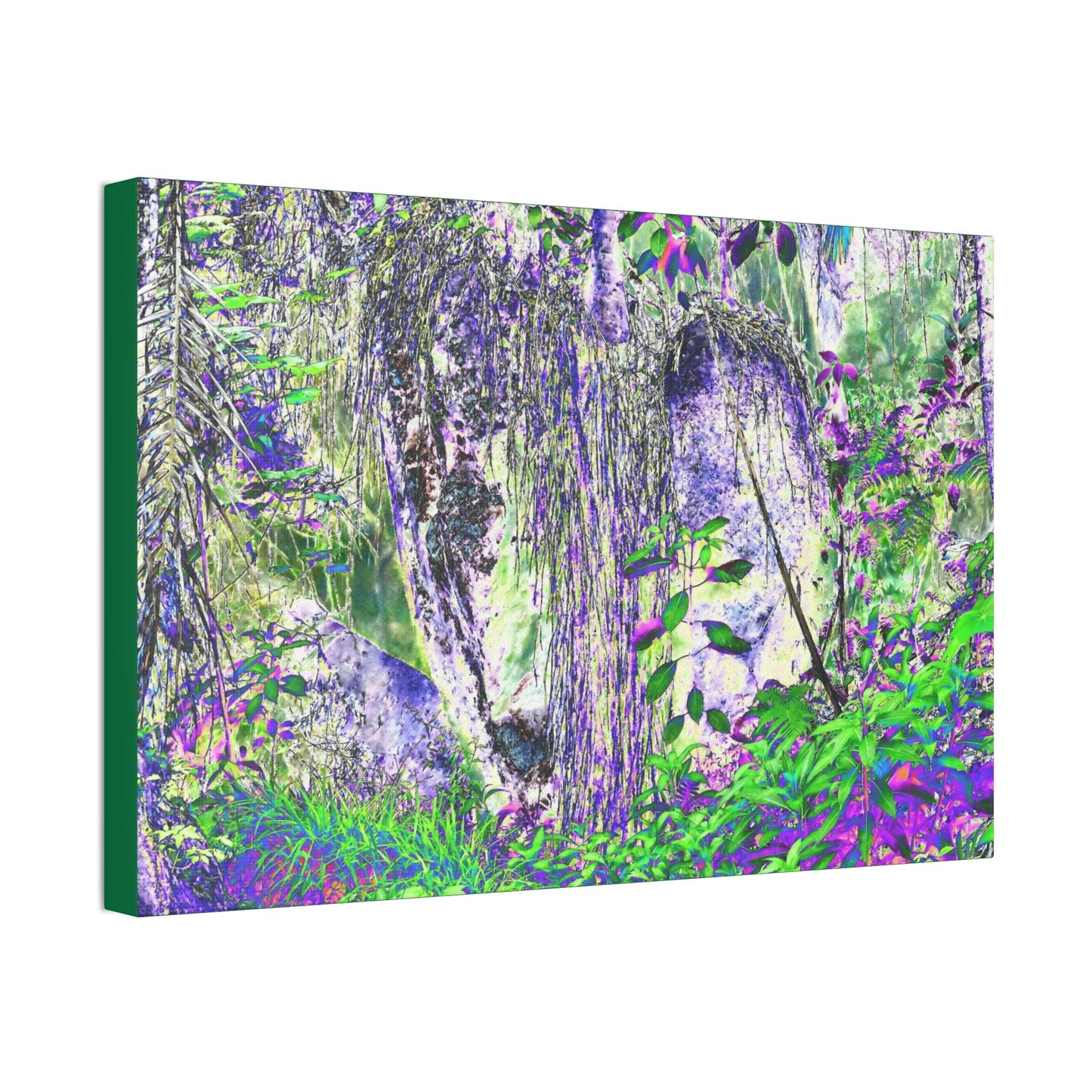 Canvas Stretched - Forest@Home - El Yunque - Amazing Sierra Palm grows in boulder with long roots comming down - Tradewinds - Green Forest Home