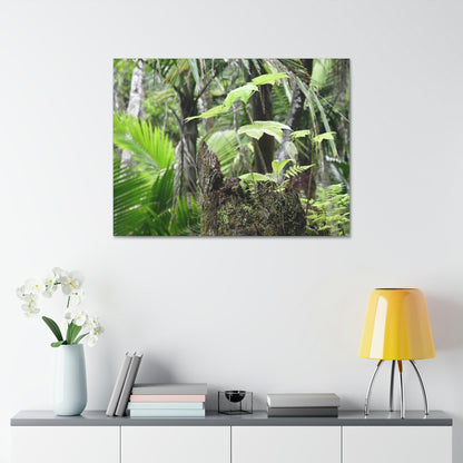 Canvas Stretched - Forest@Home - El Yunque - Amazing survival - a Yagrumo tree sprouts grows inside a broken Fern Palm trunk - Green Forest Home