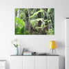 Canvas Stretched - Forest@Home - El Yunque - Amazing survival - a Yagrumo tree sprouts grows inside a broken Fern Palm trunk - Green Forest Home