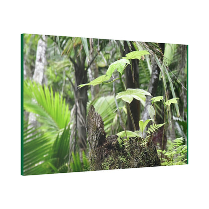 Canvas Stretched - Forest@Home - El Yunque - Amazing survival - a Yagrumo tree sprouts grows inside a broken Fern Palm trunk - Green Forest Home