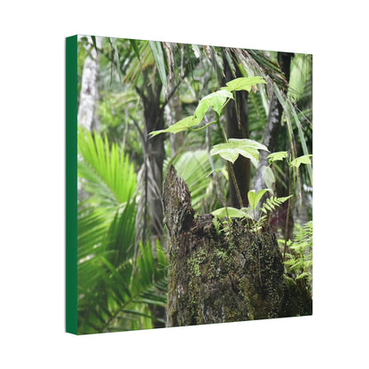 Canvas Stretched - Forest@Home - El Yunque - Amazing survival - a Yagrumo tree sprouts grows inside a broken Fern Palm trunk - Green Forest Home