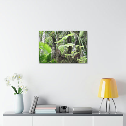 Canvas Stretched - Forest@Home - El Yunque - Amazing survival - a Yagrumo tree sprouts grows inside a broken Fern Palm trunk - Green Forest Home