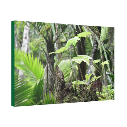 Canvas Stretched - Forest@Home - El Yunque - Amazing survival - a Yagrumo tree sprouts grows inside a broken Fern Palm trunk - Green Forest Home