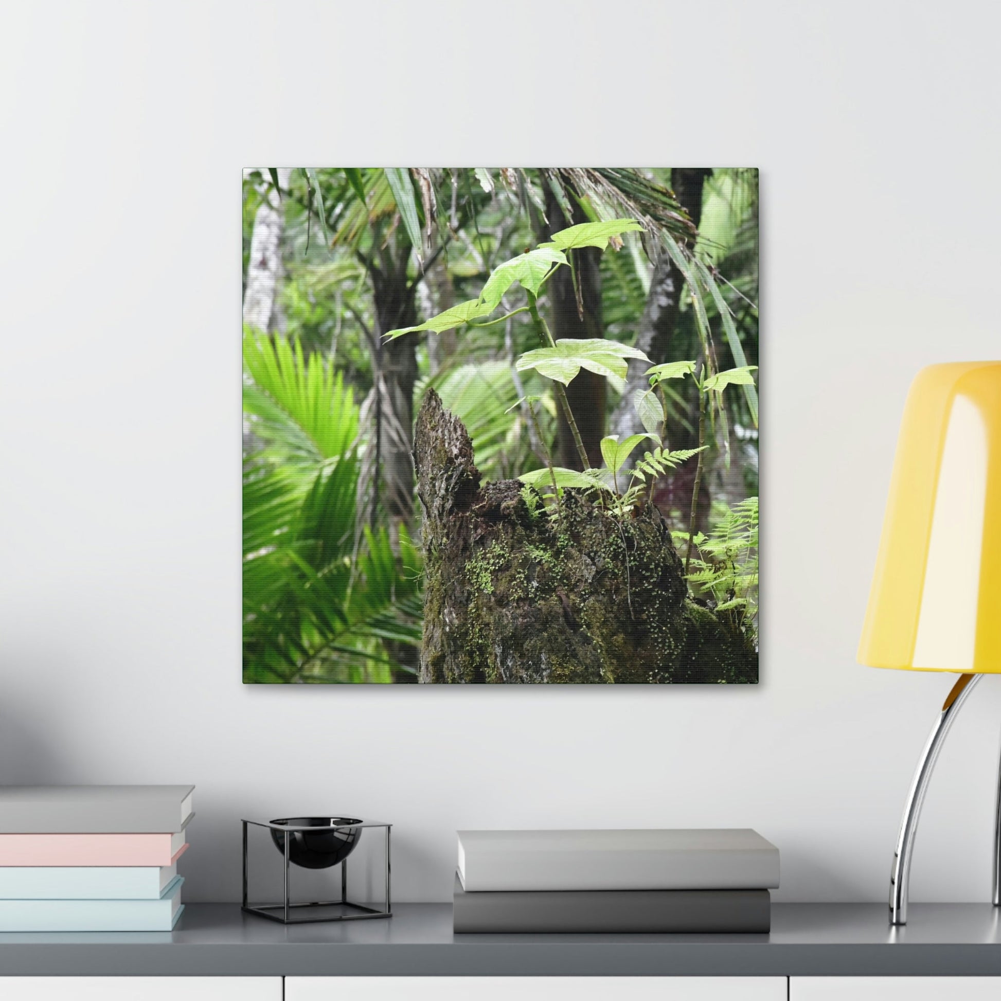 Canvas Stretched - Forest@Home - El Yunque - Amazing survival - a Yagrumo tree sprouts grows inside a broken Fern Palm trunk - Green Forest Home