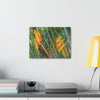 Canvas Stretched - Forest@Home - El Yunque - Heliconia flowers (non native to EYNF) in PR 191 closed - Green Forest Home