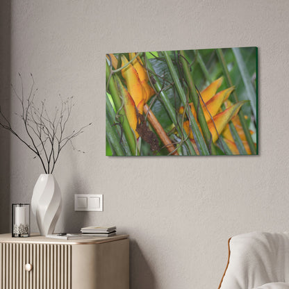 Canvas Stretched - Forest@Home - El Yunque - Heliconia flowers (non native to EYNF) in PR 191 closed - Green Forest Home
