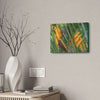 Canvas Stretched - Forest@Home - El Yunque - Heliconia flowers (non native to EYNF) in PR 191 closed - Green Forest Home