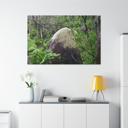 Canvas Stretched - Forest@Home - El Yunque - Hurricane Maria sandblasted this huge boulder in a river canyon - Tradewinds - Green Forest Home